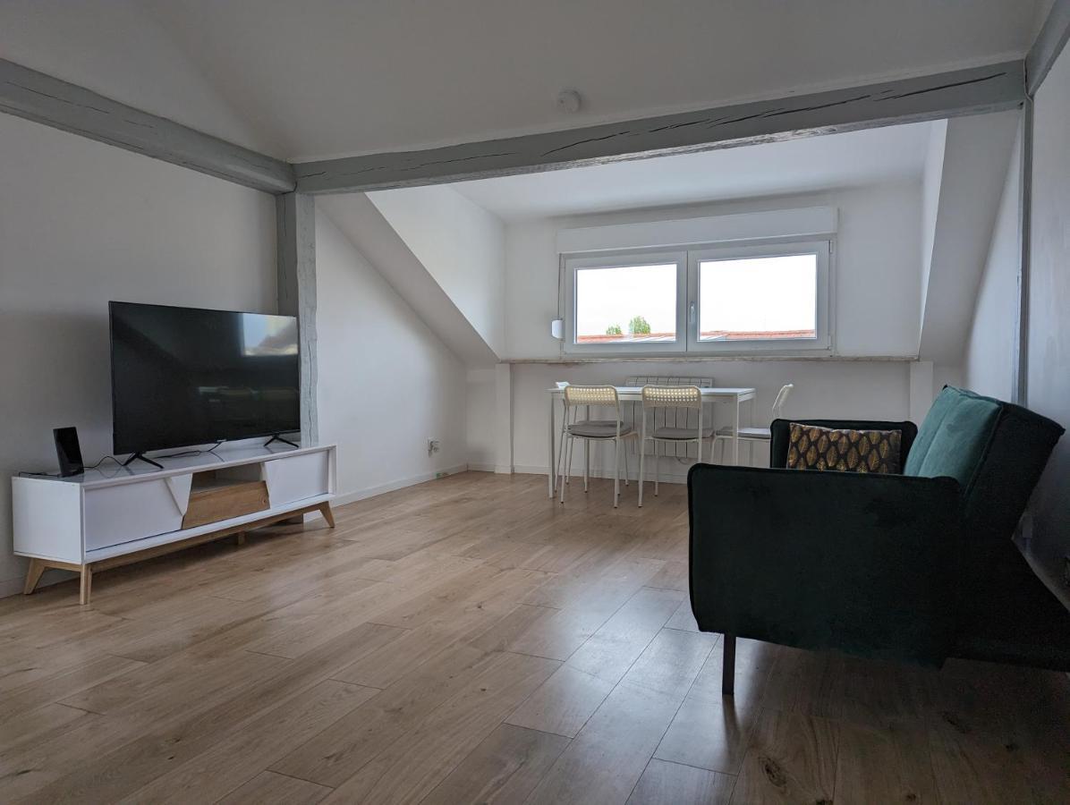 Le Vauban - Appartement 2 Chambres, Salon, Cuisine Equipee, Parking Et Wifi Gratuit Mulhouse Eksteriør billede