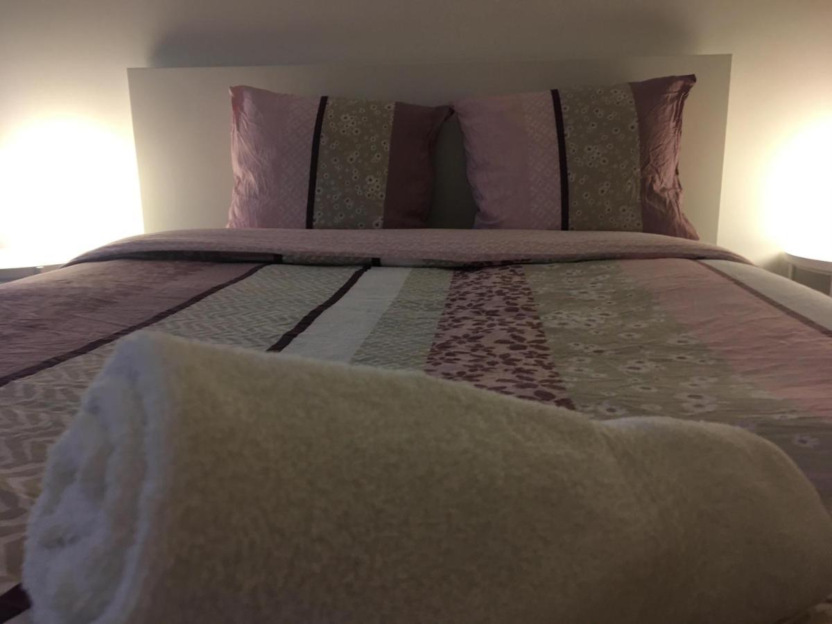 Le Vauban - Appartement 2 Chambres, Salon, Cuisine Equipee, Parking Et Wifi Gratuit Mulhouse Eksteriør billede